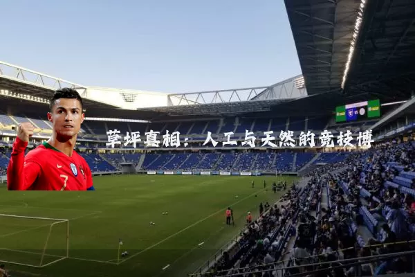 草坪真相：人工与天然的竞技博弈